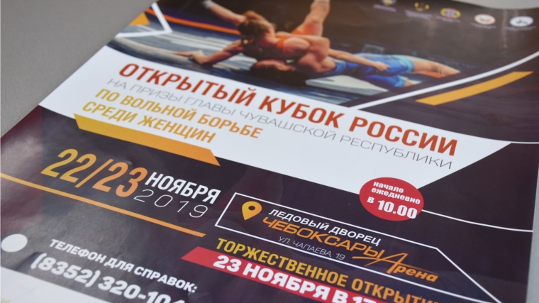 В Минспорта Чувашии обсудили подготовку к Кубку России по женской вольной борьбе