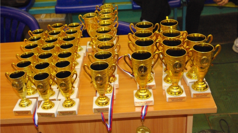 Открытый турнир по вольной борьбе среди младших юношей на призы ЧРОО "ВМЕСТЕ"
